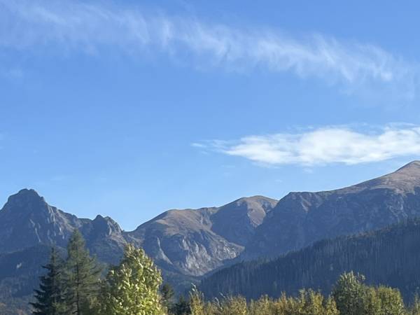 Willa Polana Górkówka