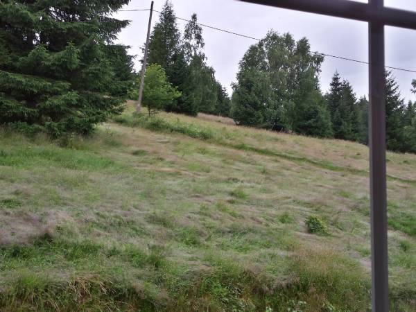 Apartament 2 widok z okna