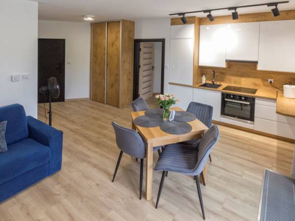 Salon z aneksem kuchennym