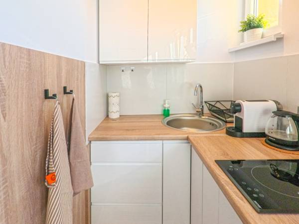 Apartament Parkowy Rabka