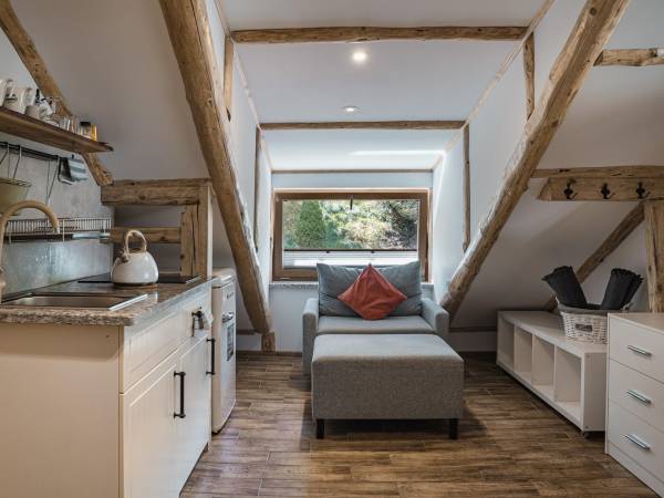 Apartament trzy-osobowy z tarasem