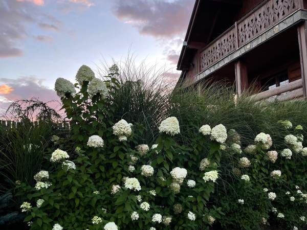 Osada Pienińska B&B Domki Pokoje Apartamenty 