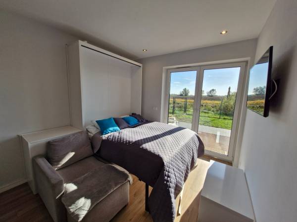 Apartament Deluxe 2-pokojowy z ogródkiem