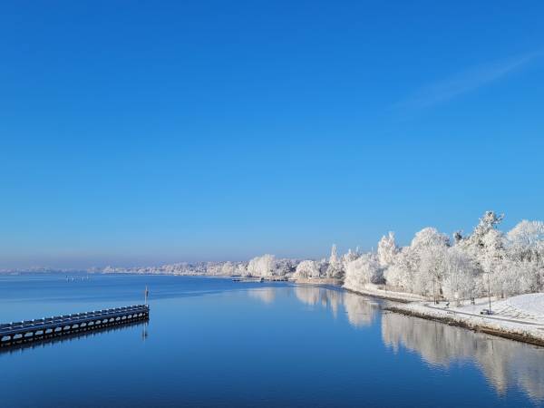 Apartament Deluxe 2-pokojowy z ogródkiem