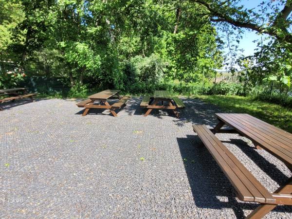 Apartament Deluxe 2-pokojowy z ogródkiem