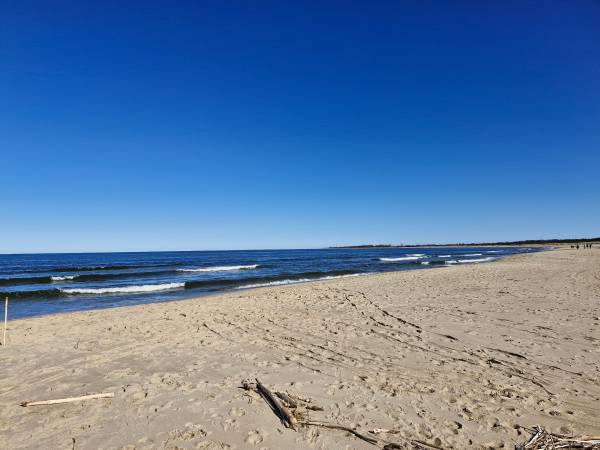 Apartament Deluxe 1-pokojowy z ogródkiem