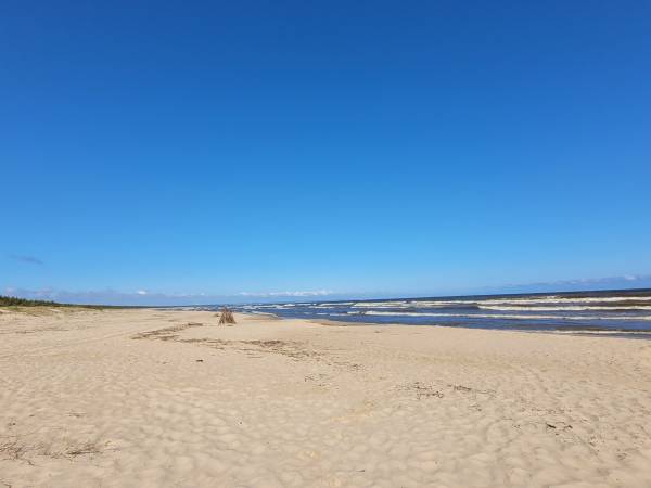 Apartament Deluxe 1-pokojowy z ogródkiem