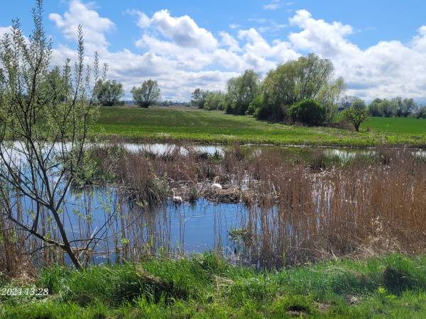 Apartament Deluxe 1-pokojowy z ogródkiem