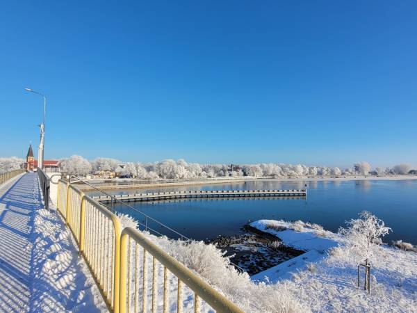 Apartament Deluxe 1-pokojowy z ogródkiem