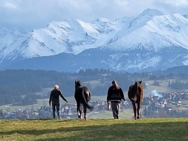 Spacer z naszymi końmi