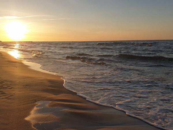 Apartamenty pod Sosnami