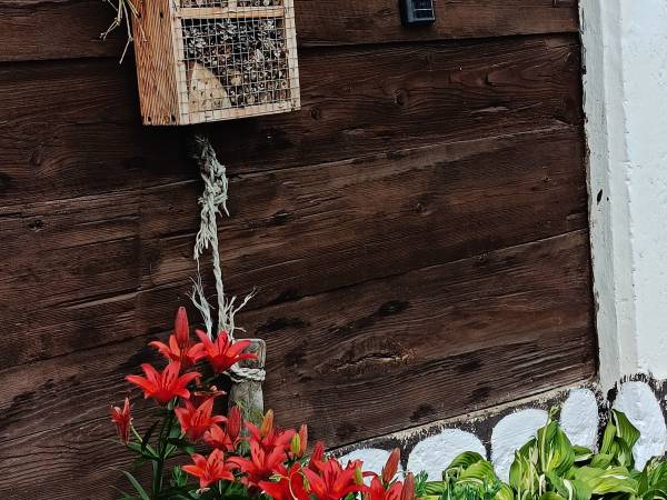 Zielony Domek Nad Biebrzą