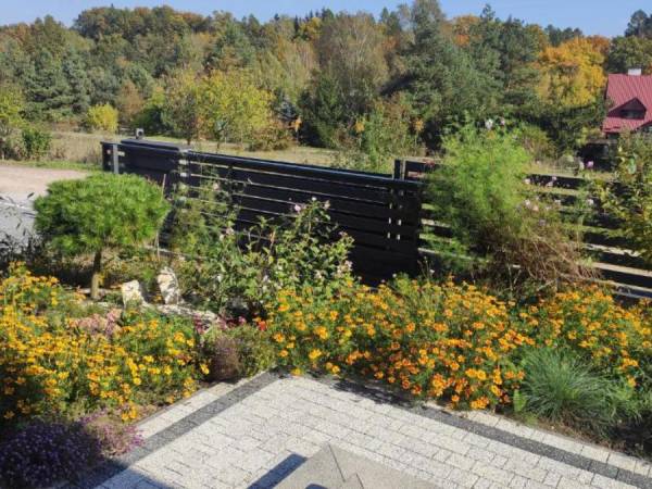 ogród , wjazd na posesję 