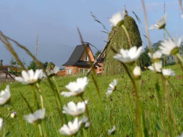 Urokliwe domki góralskie