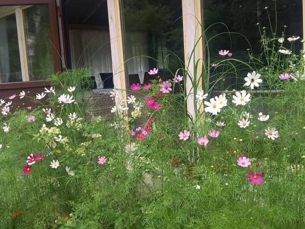 Wejście do werandy od zewnątrz