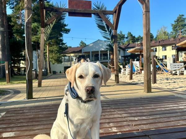 Hotel Sanvit Lake Resort & Spa