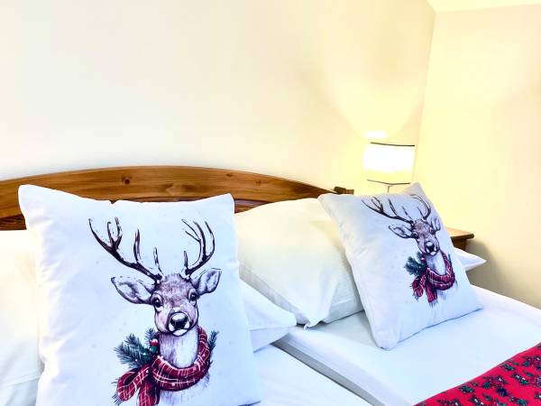 Pokój 2 osobowy z łazienką i balkonem z widokiem na góry