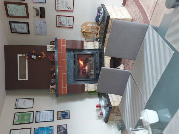 Salon z kominkiem i wyjściem na taras 