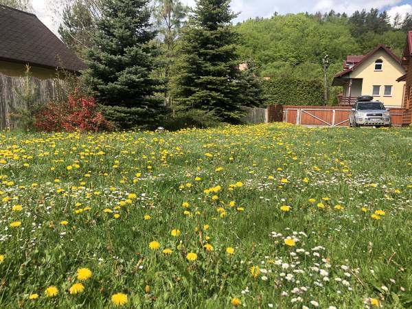 Dom Bieszczady Sauna +Jaccuzi