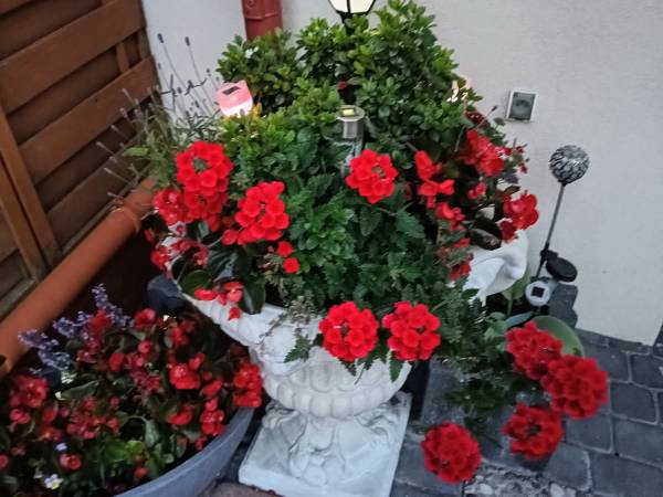 Willa Małgośka Wynajem pokoi 