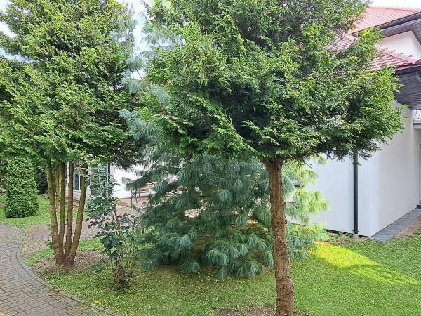 Pokoje i Apartamenty Wakacyjna 30