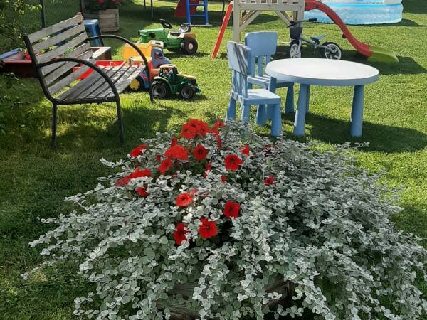 Domki Kapitan Antonio