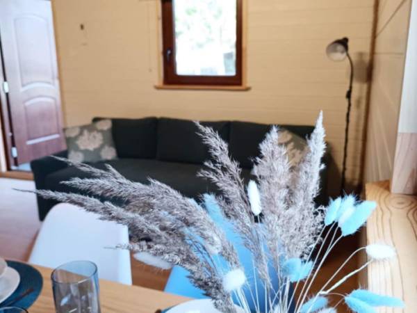 Domki drewniane Sztutowo