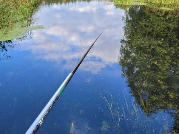 Miodowy Domek na Mazurach