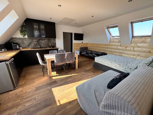 Apartament Przy Termach Chocholowskich 