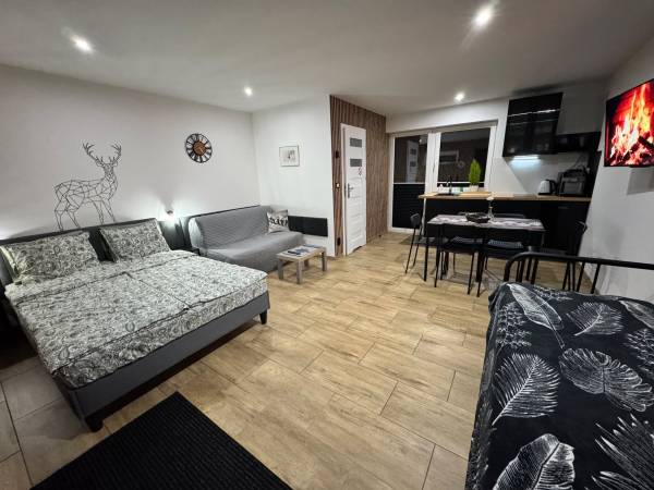 Apartament Przy Termach Chocholowskich 