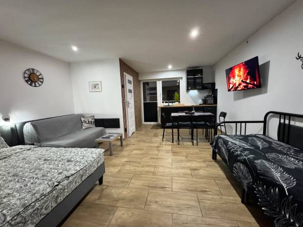 Apartament Przy Termach Chocholowskich 