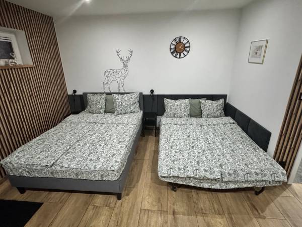 Apartament Przy Termach Chocholowskich 