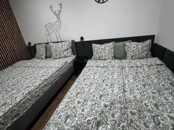 Apartament Przy Termach Chocholowskich 