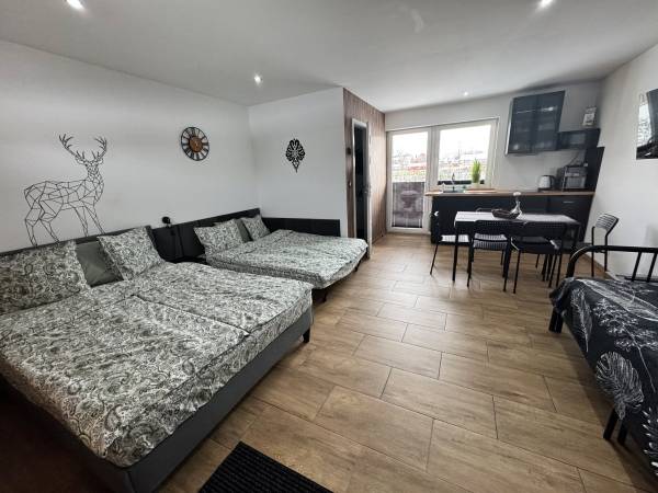 Apartament Przy Termach Chocholowskich 