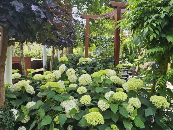 ANGELA - domki letniskowe i pokoje