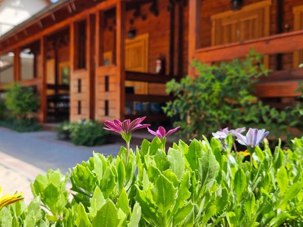 ANGELA - domki letniskowe i pokoje