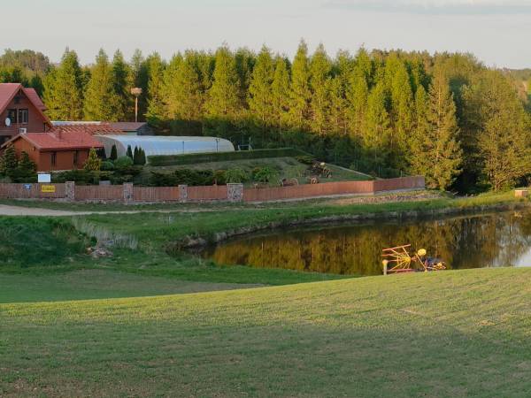 Siedlisko - Widok z nad stawu