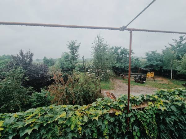 Agroturystyka Trzcinowy Zakątek