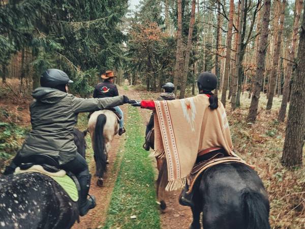 Agroturystyka Trzcinowy Zakątek