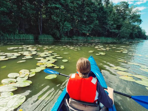 Agroturystyka Trzcinowy Zakątek