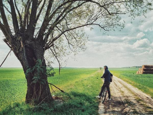 Agroturystyka Trzcinowy Zakątek