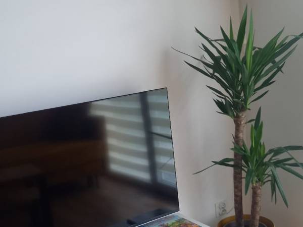 APARTAMENT RODZINNY - 100 metrów od morza