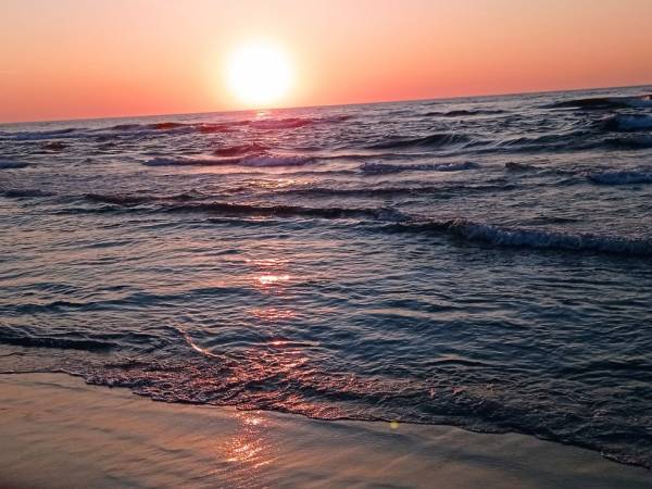 Ośrodek Turystyczno Wypoczynkowy Służba Dziecku