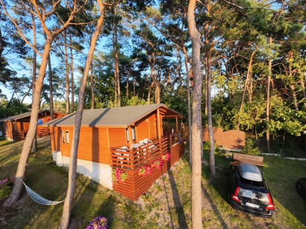 Ośrodek Turystyczno Wypoczynkowy Służba Dziecku