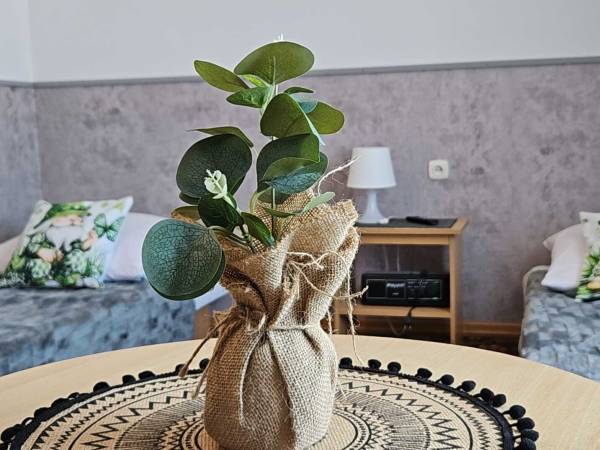 Pokoje Gościnne Laguna