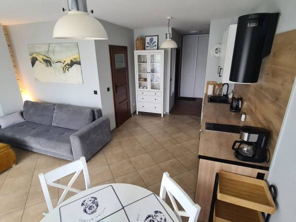 Salon z aneksem kuchennym