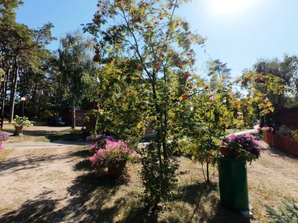 Ośrodek Turystyczno Wypoczynkowy Służba Dziecku