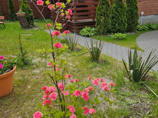 Ośrodek Turystyczno Wypoczynkowy Służba Dziecku