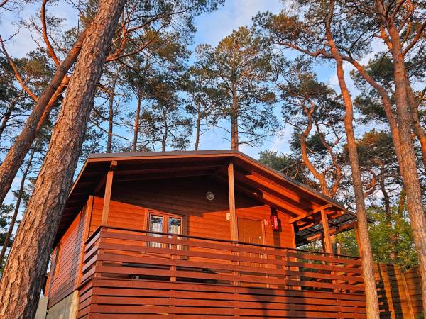 Ośrodek Turystyczno Wypoczynkowy Służba Dziecku