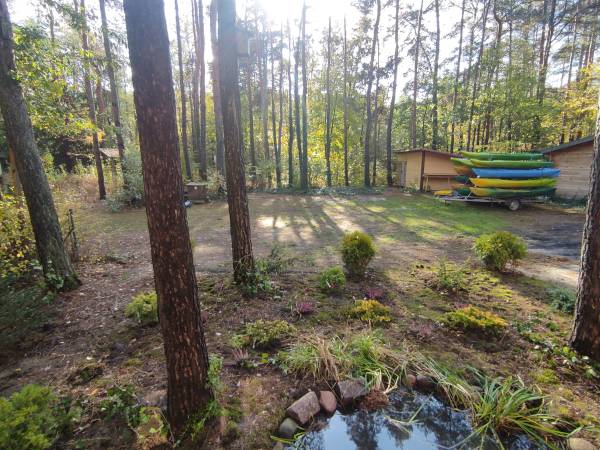 Domek w lesie nad rzeką Świder